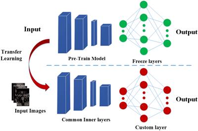 A classifier model for prostate cancer diagnosis using CNNs and transfer learning with multi-parametric MRI